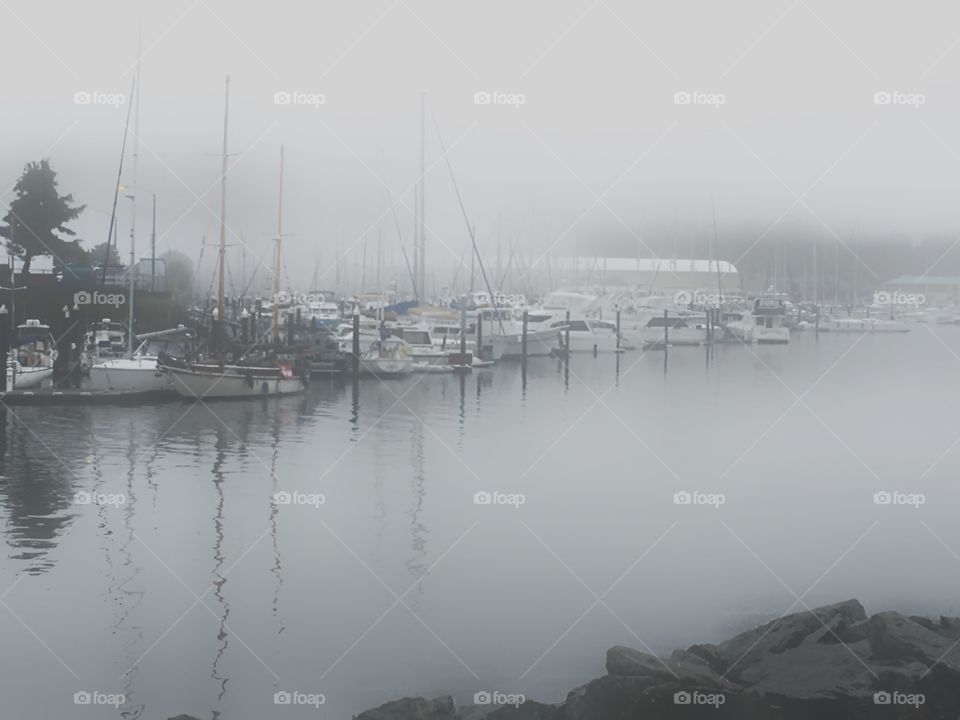 Marina in the fog