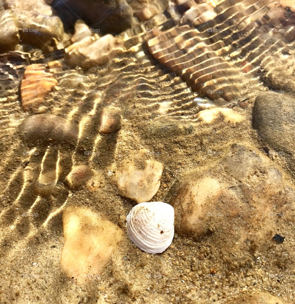 Rippled in River Water