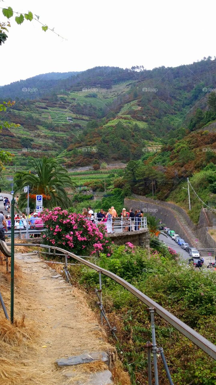 A little bit country