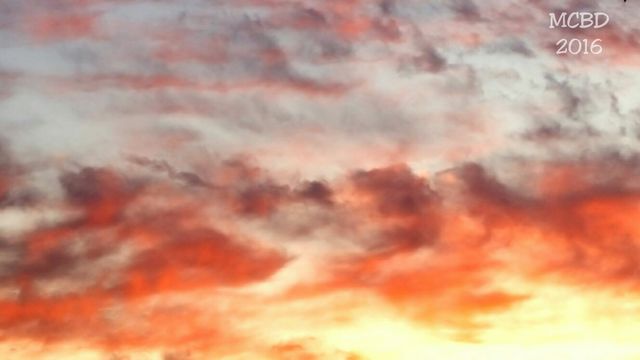 Night Sky on Fire