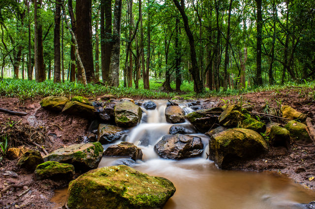 stream running through some moss covered rocks in the mountains
