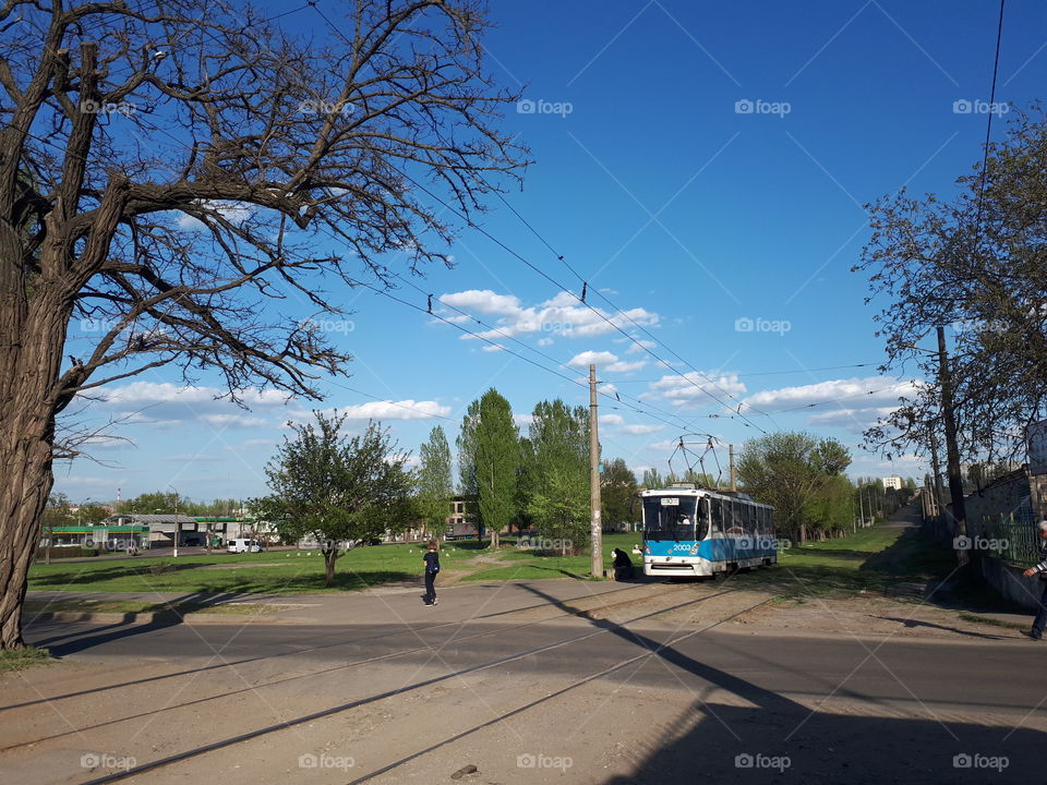 Tram at the street