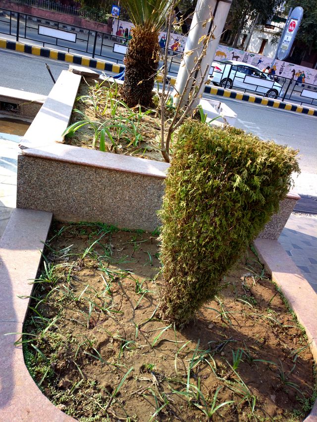 live with nature india