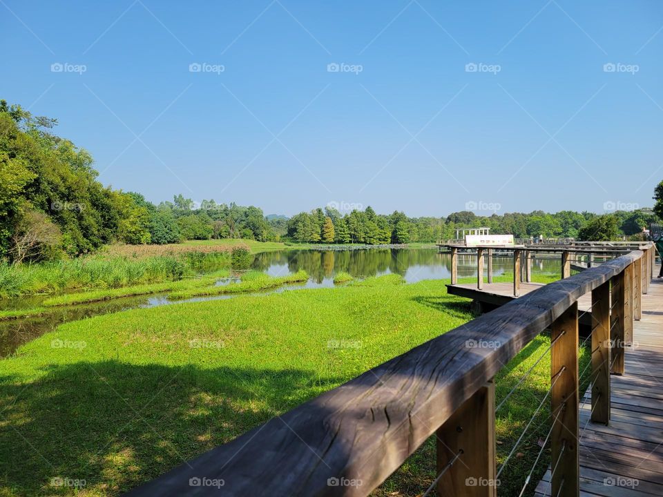 Walking at Hong Kong Wetland Park on a sunny cloudless day