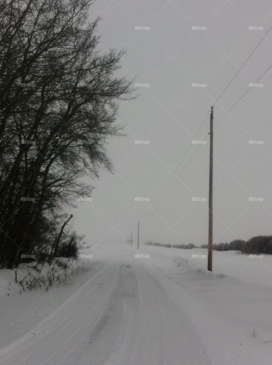 Winter Driveway. Driveway to Grandpa's farm