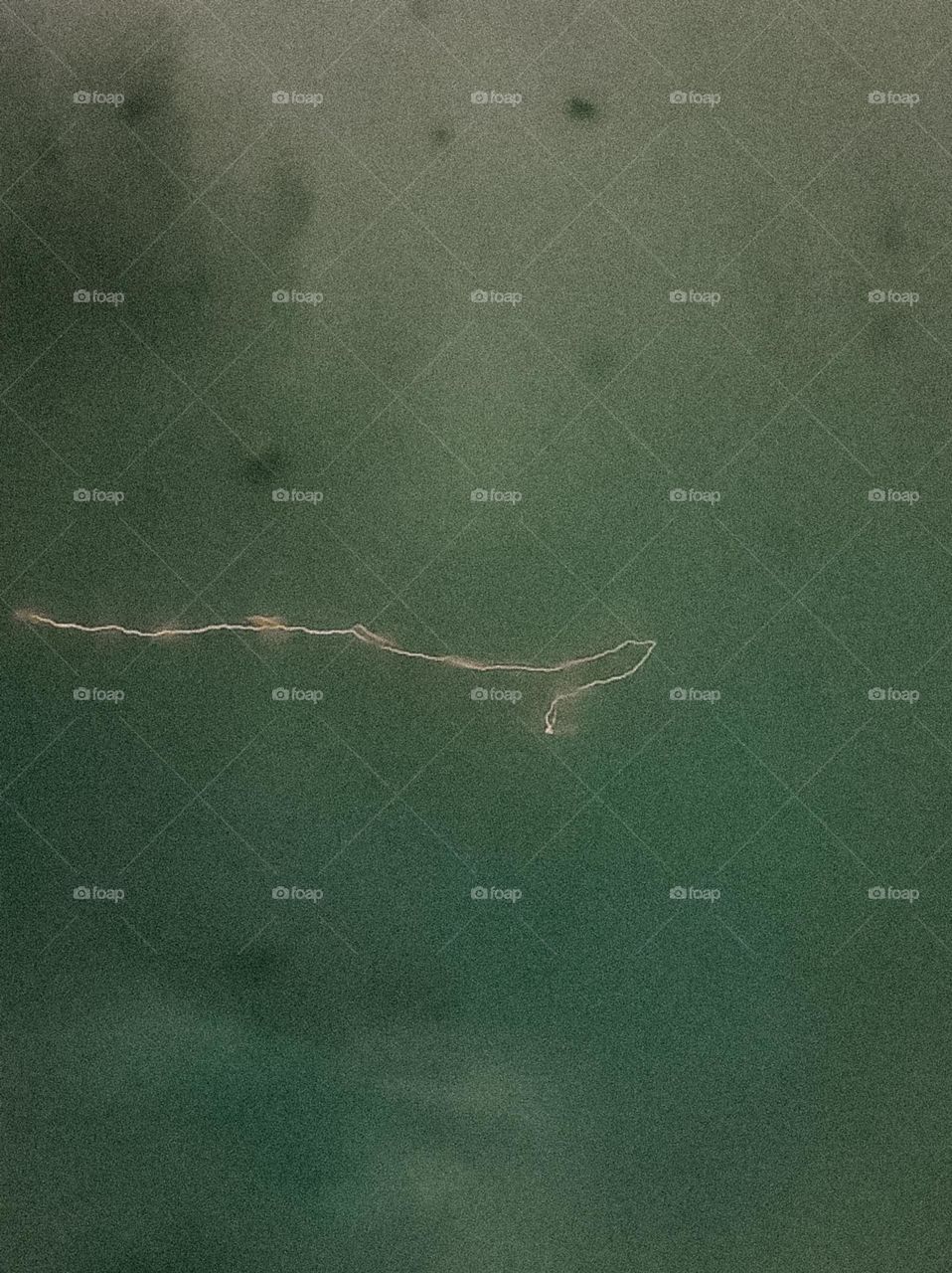 Thin sharp lighting of irregular shape freeze on emerald green sky. Lighting during the thunderstorm. Green blue dark background