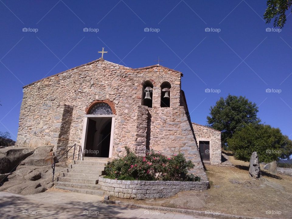 Editors' Choice - Photo of the Week