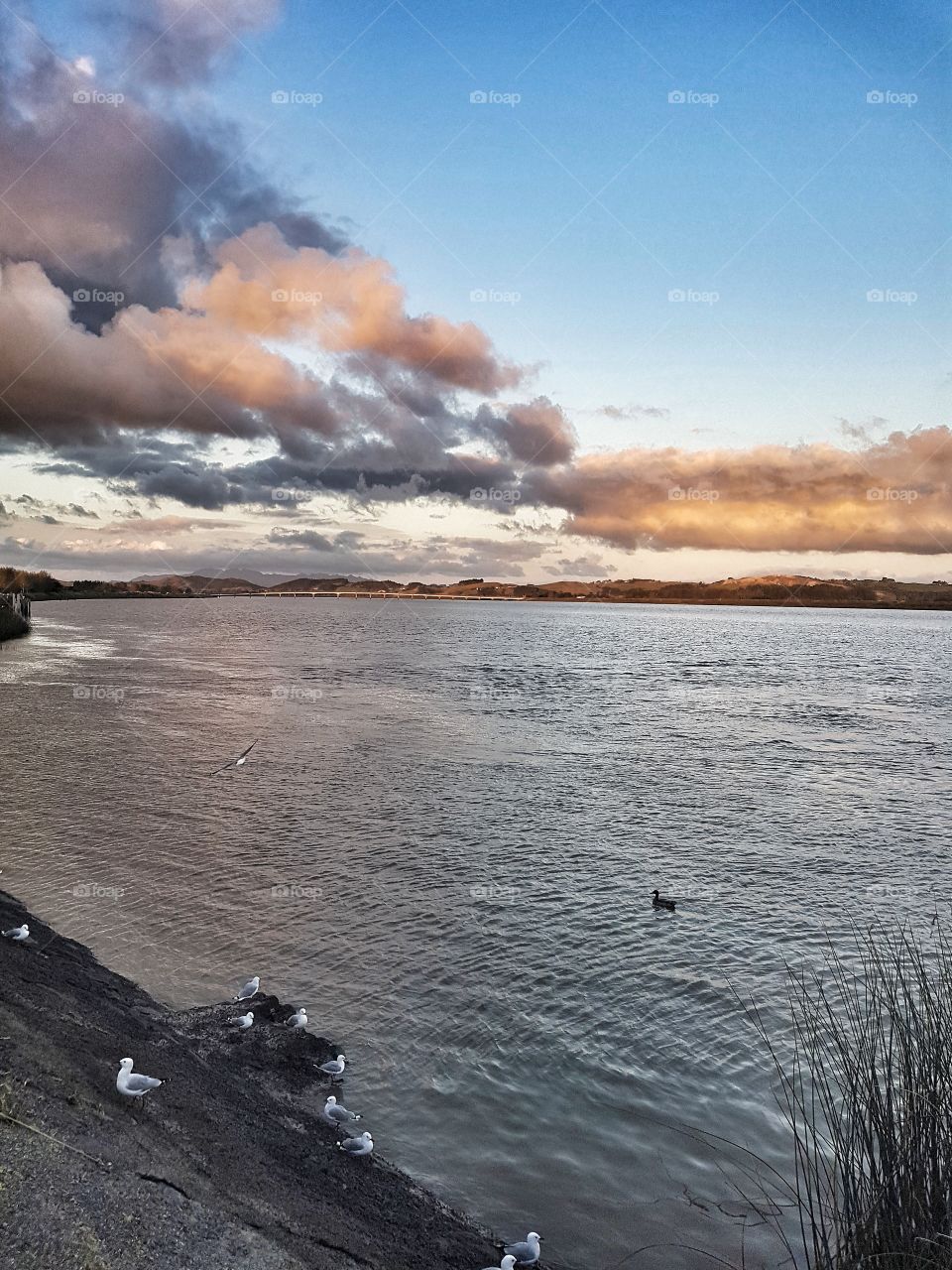 Dusk over the river