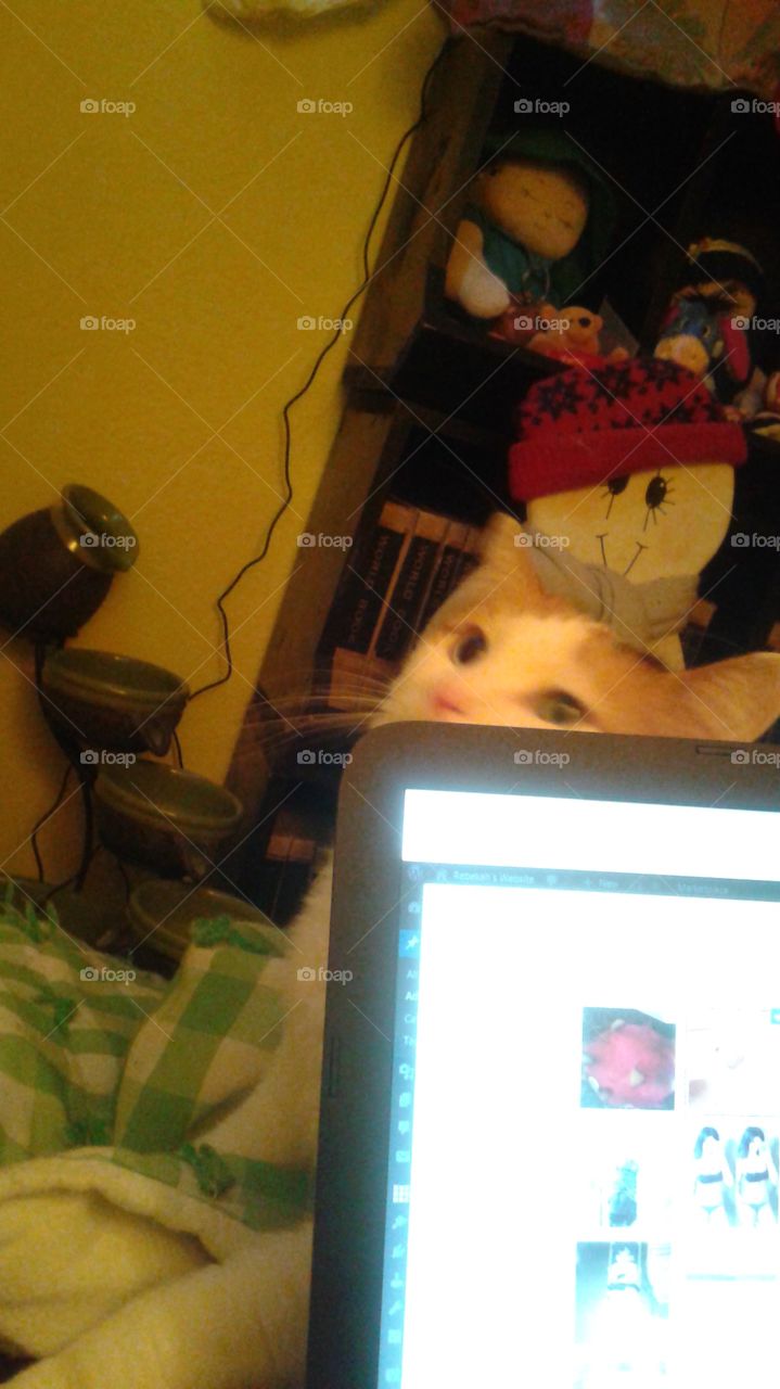 Being stalked by Kitty Riley