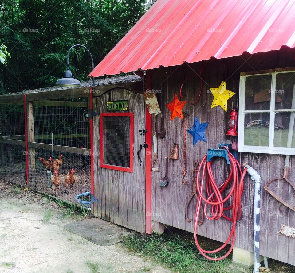 Chicken coop 