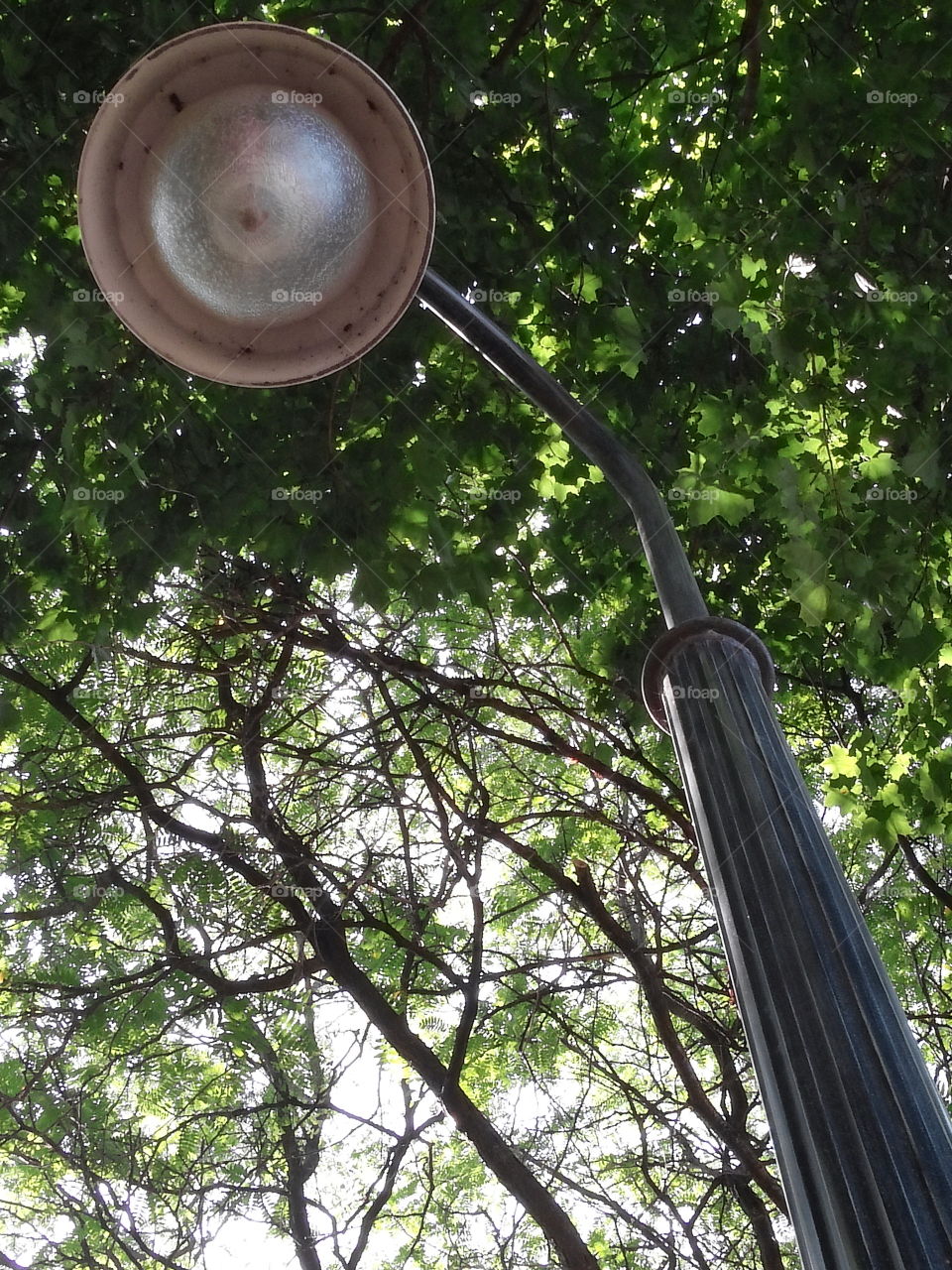 light in darkness. just a pretty lamp in a park