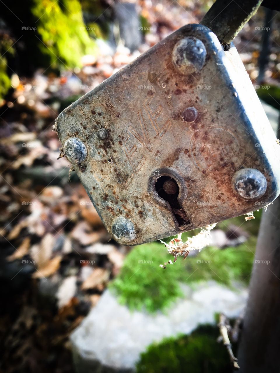 Rusted padlock