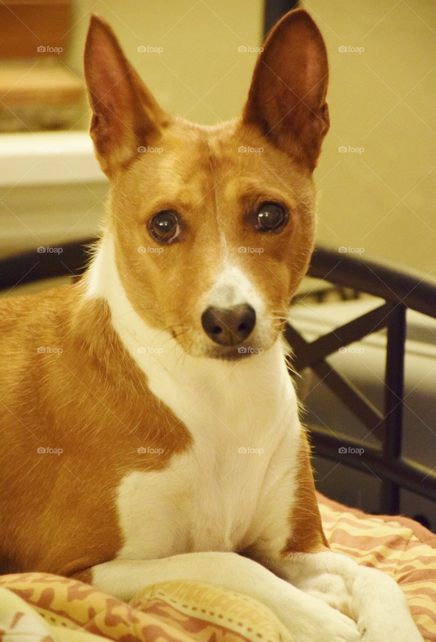 Rolling With The Romie