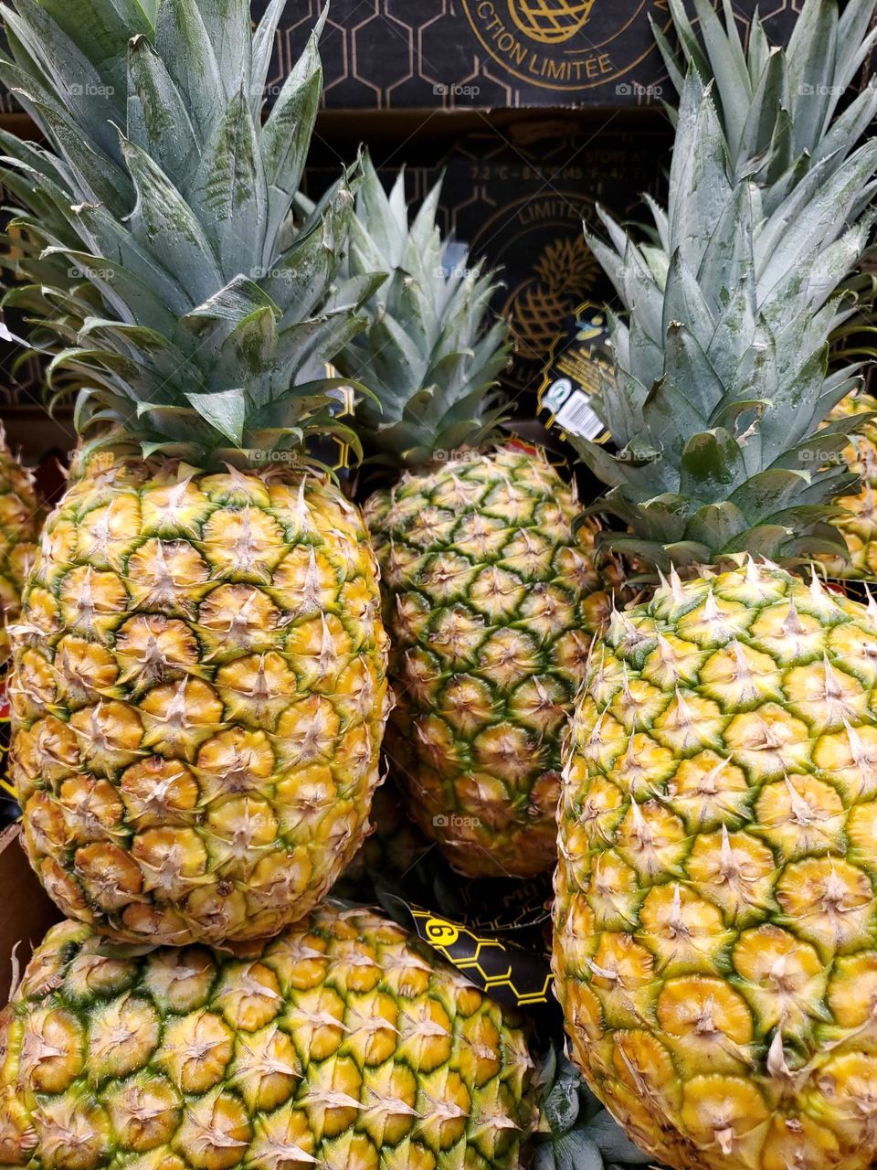 Pineapples