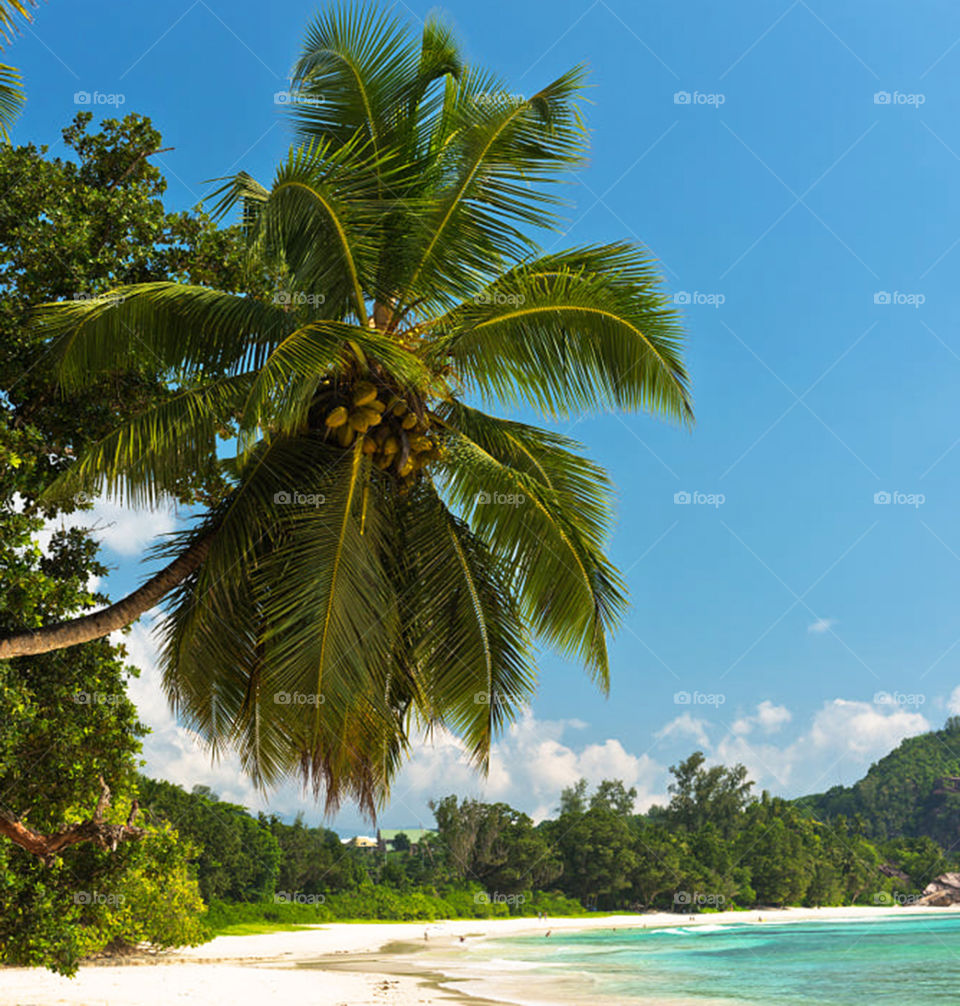 Travel around the world