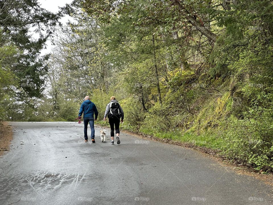 Let’s go for a hike 