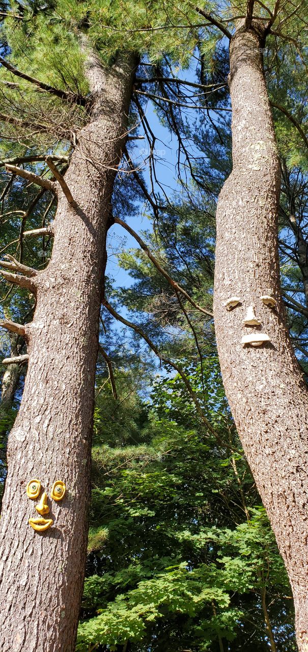 The Forest Is Our Home, protect it for the rest of us. We are always watching.