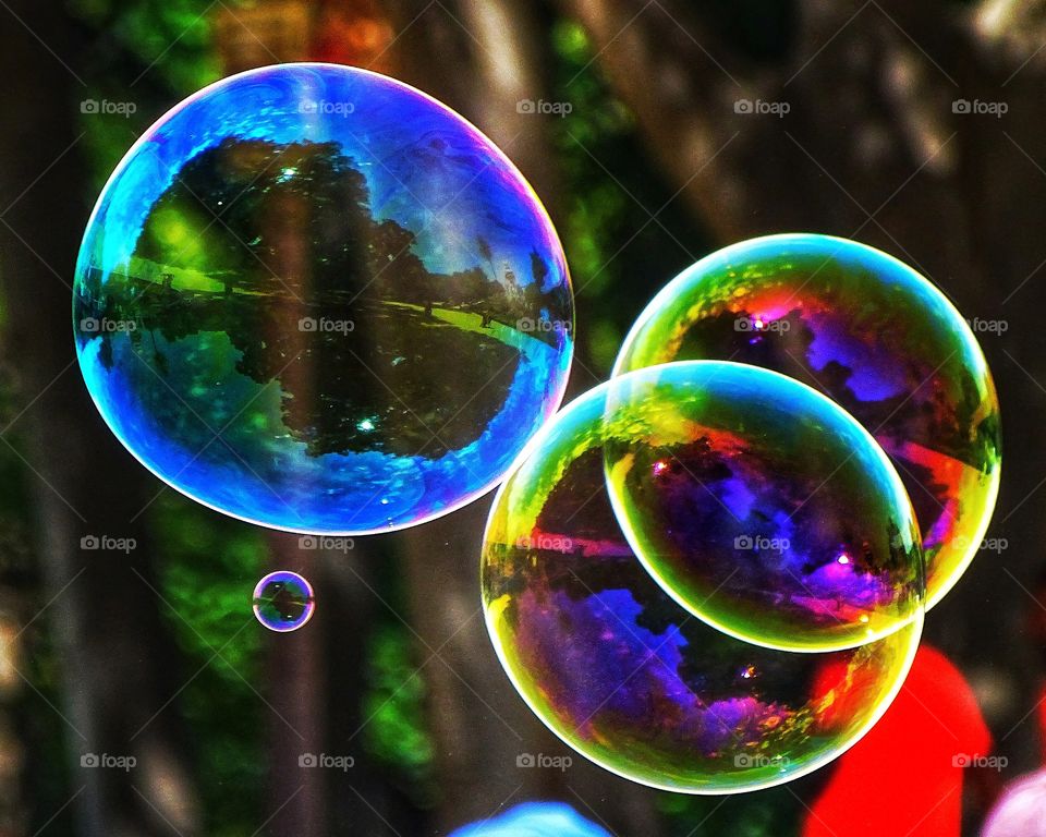 The three bubbles