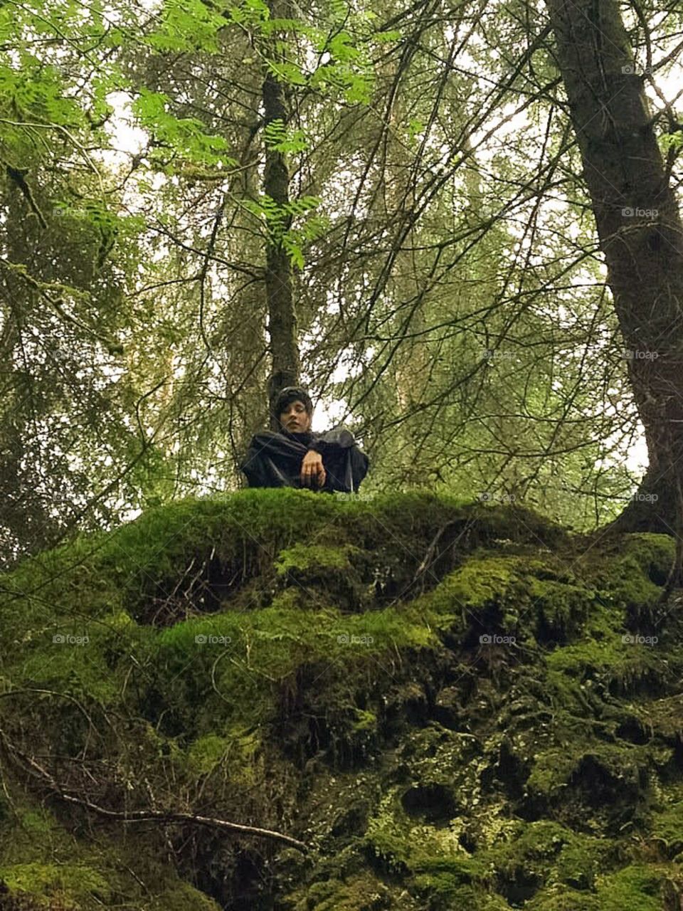 Chillin in the Forest 