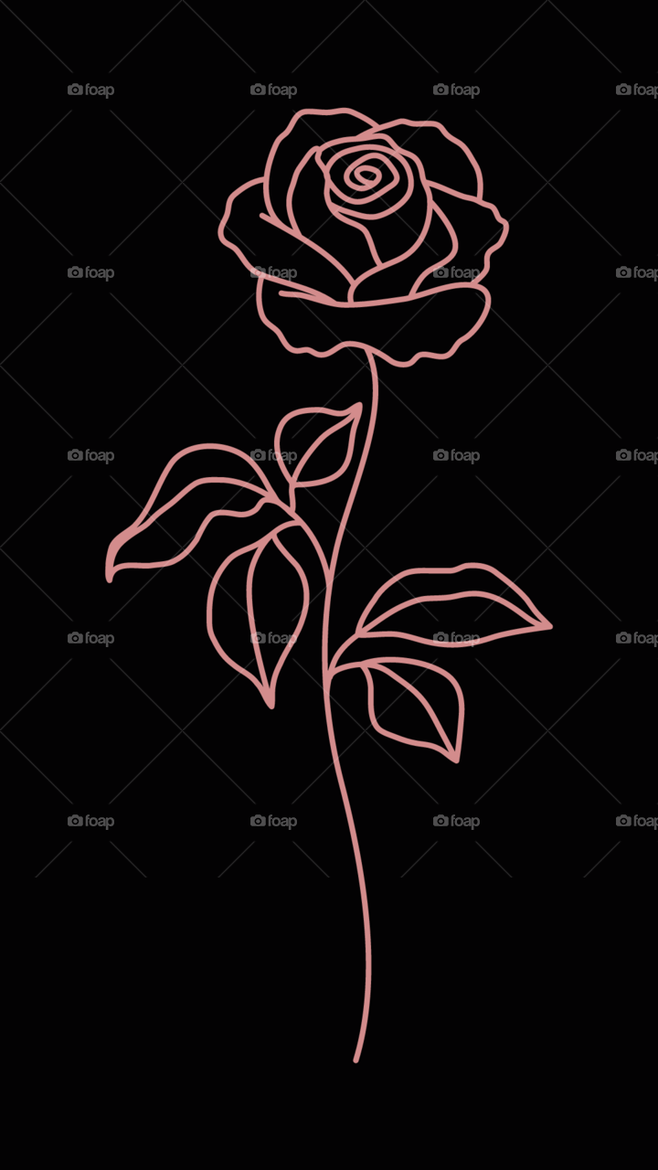 خلفيات وردة