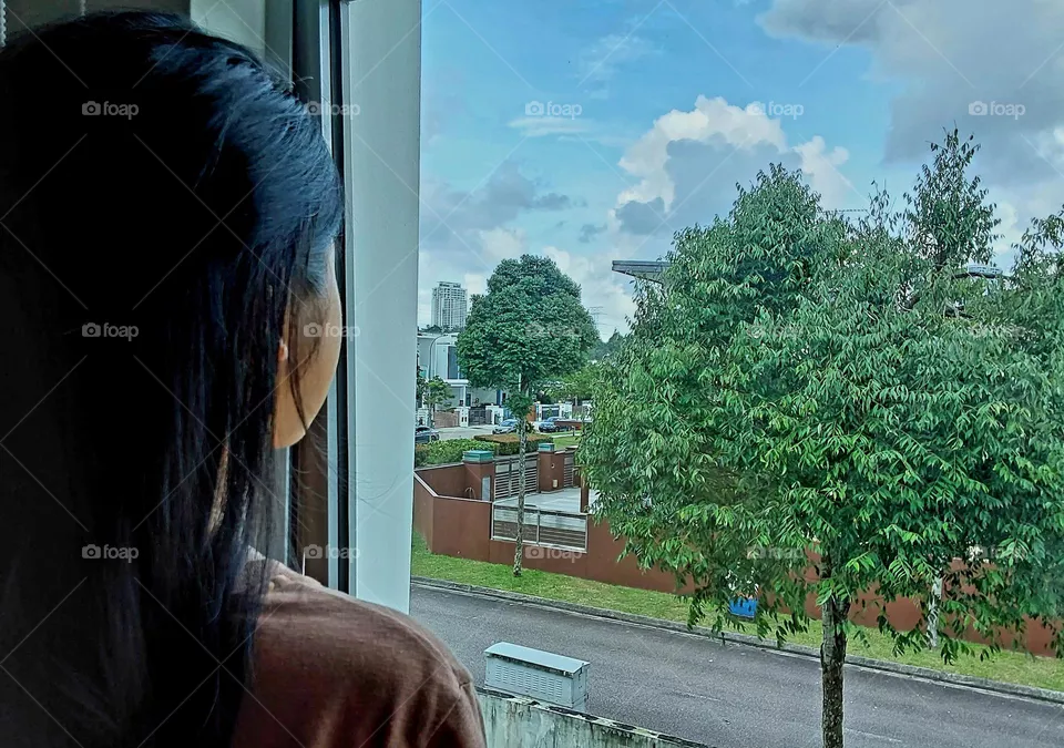 view from a window