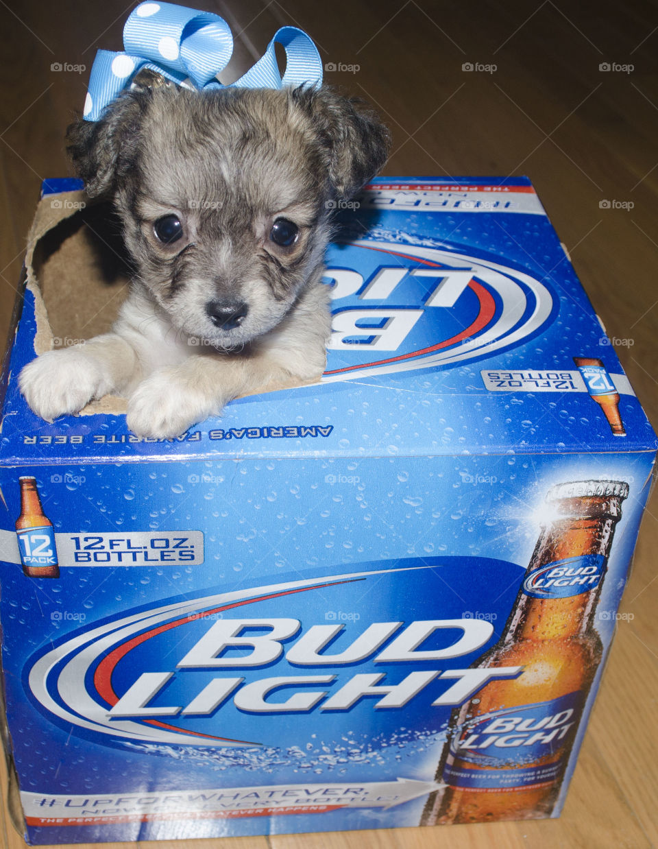 bud light. give me a bud light 