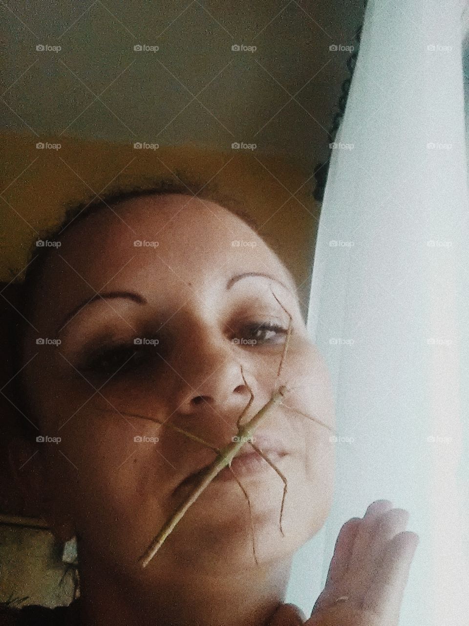 The beetle-stick wants a little hug