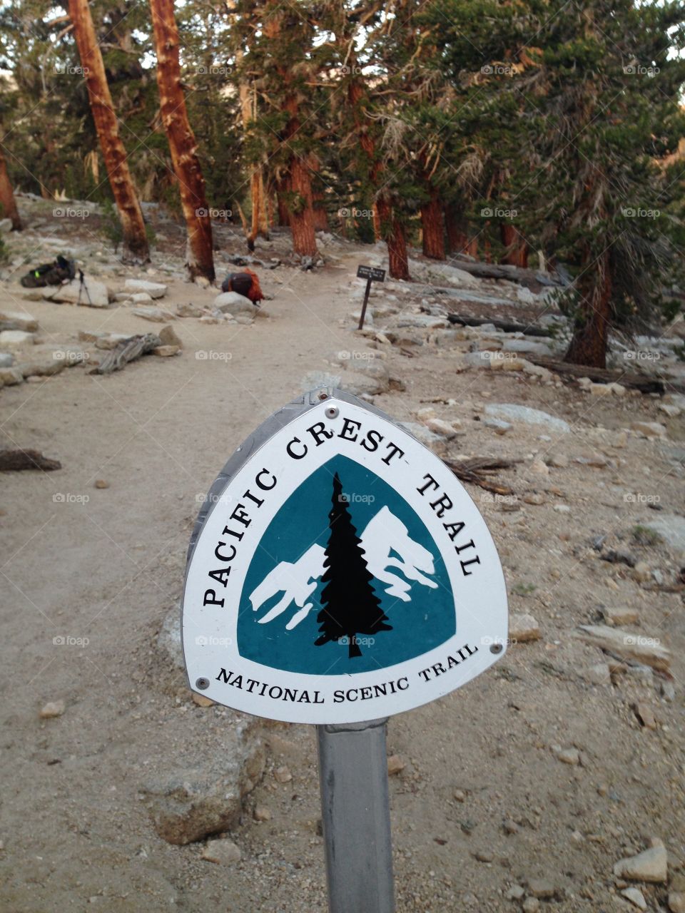 Pacific Crest Trail. Backpacking on the Pacific Crest Trail