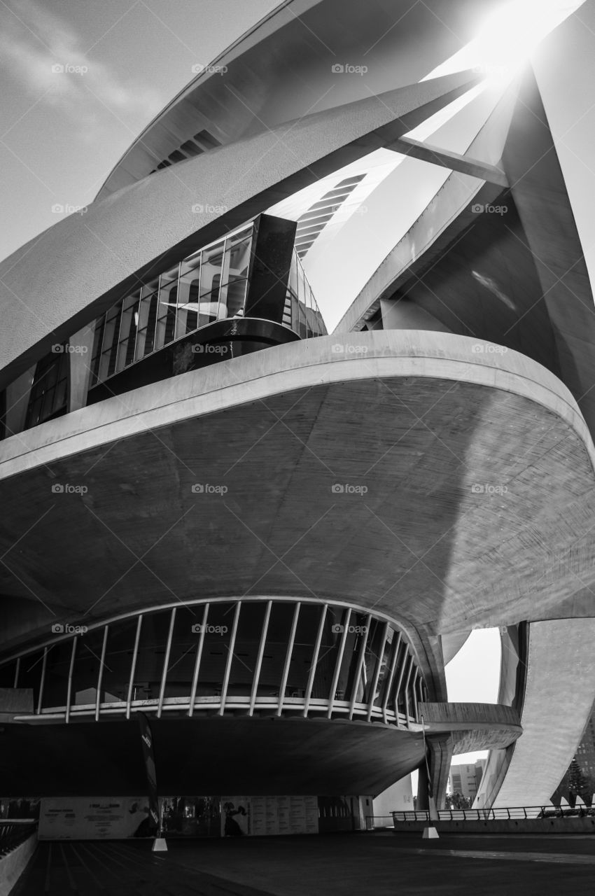 Palacio de las Artes Reina Sofia, Valencia, Spain