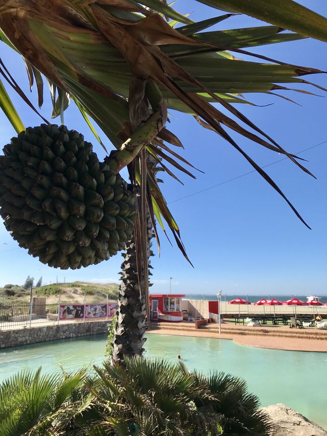 Mac Arthur’s baths Port Elizabeth South Africa 