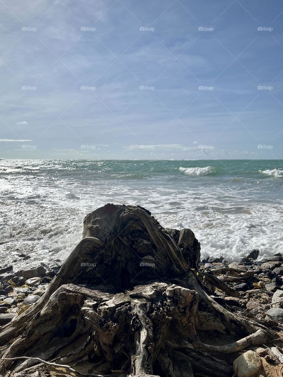 Wild Caribbean landscape 