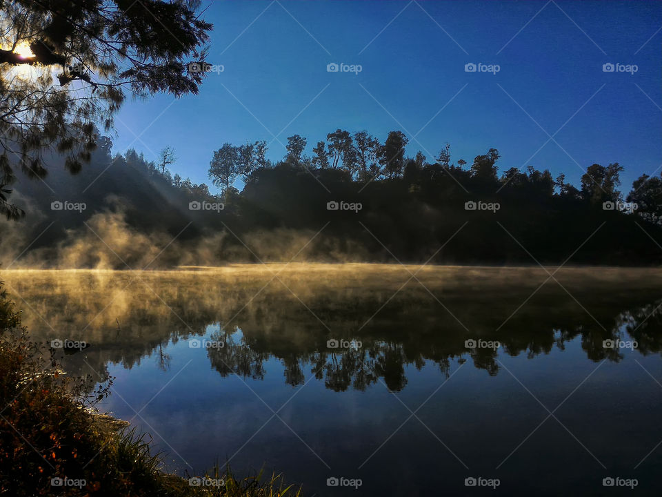Reflection of tress on lake at dawn
