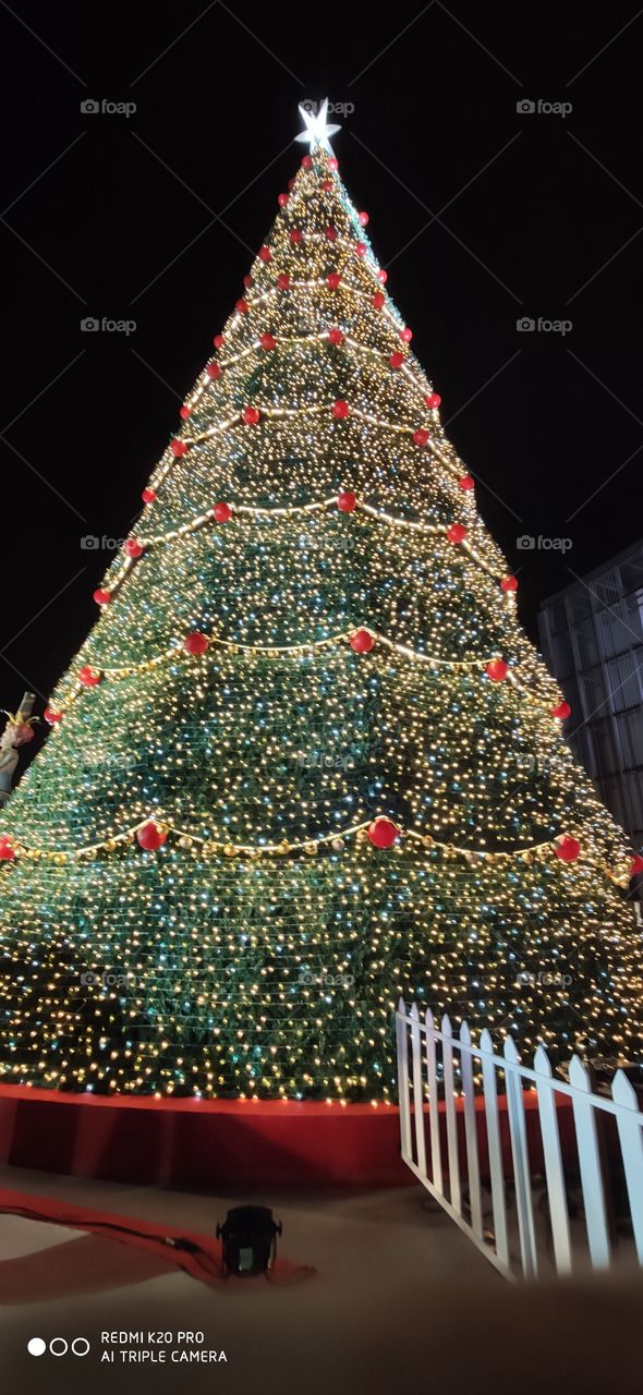 Christmas tree