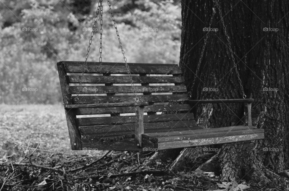 Backyard swing 