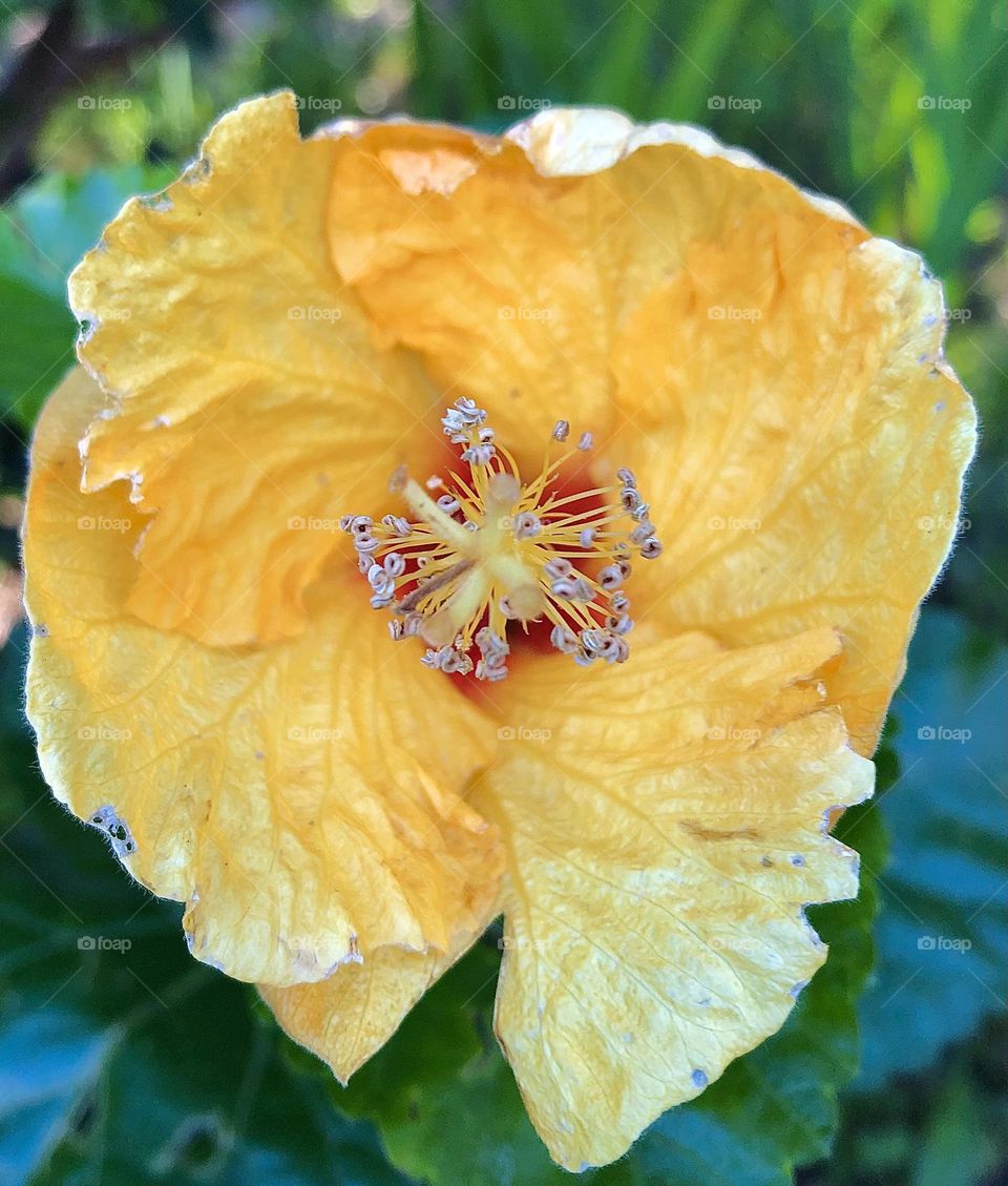 Spring is within the bloom of a flower