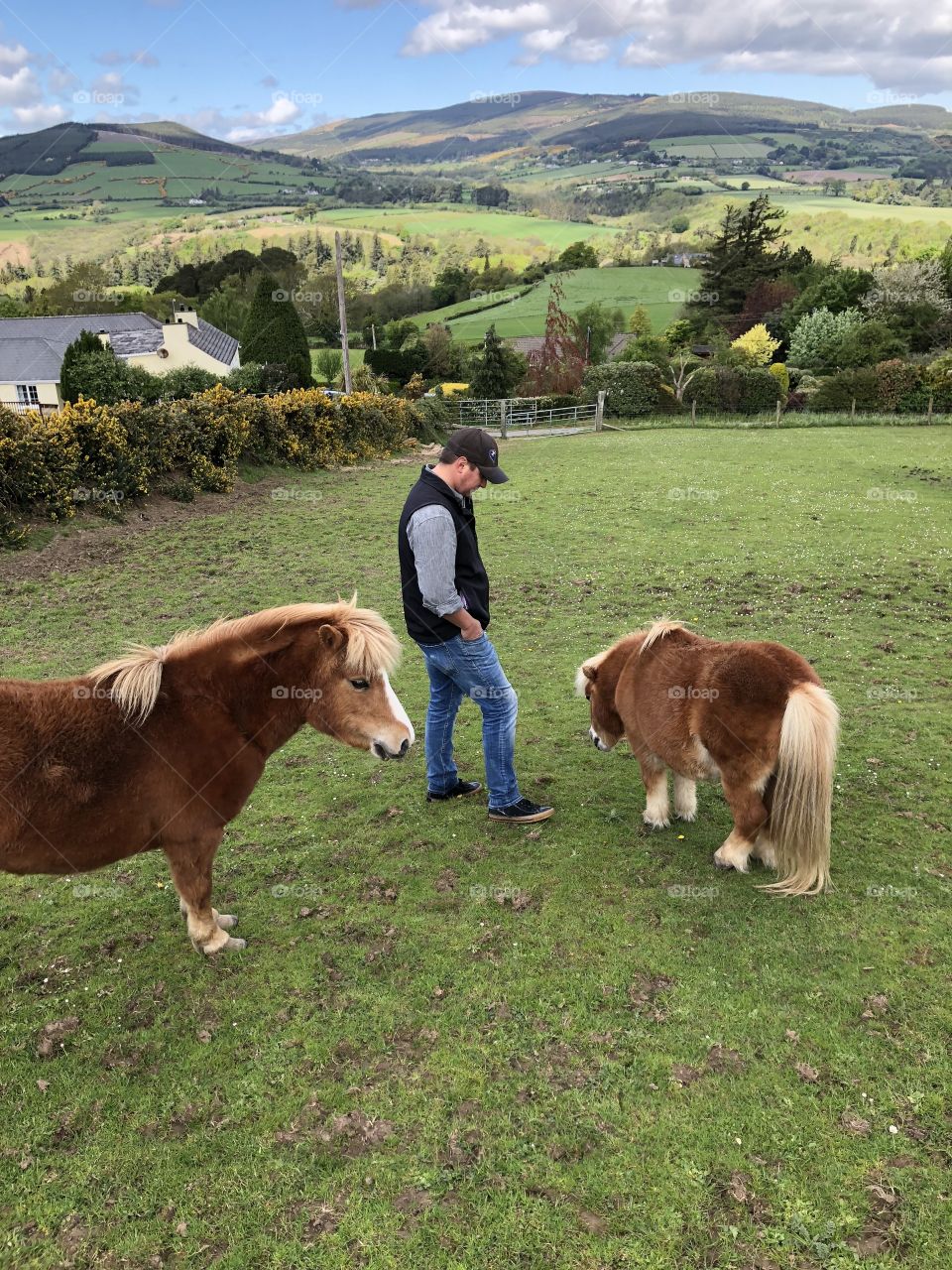Playing with the Ponies In Ireland 