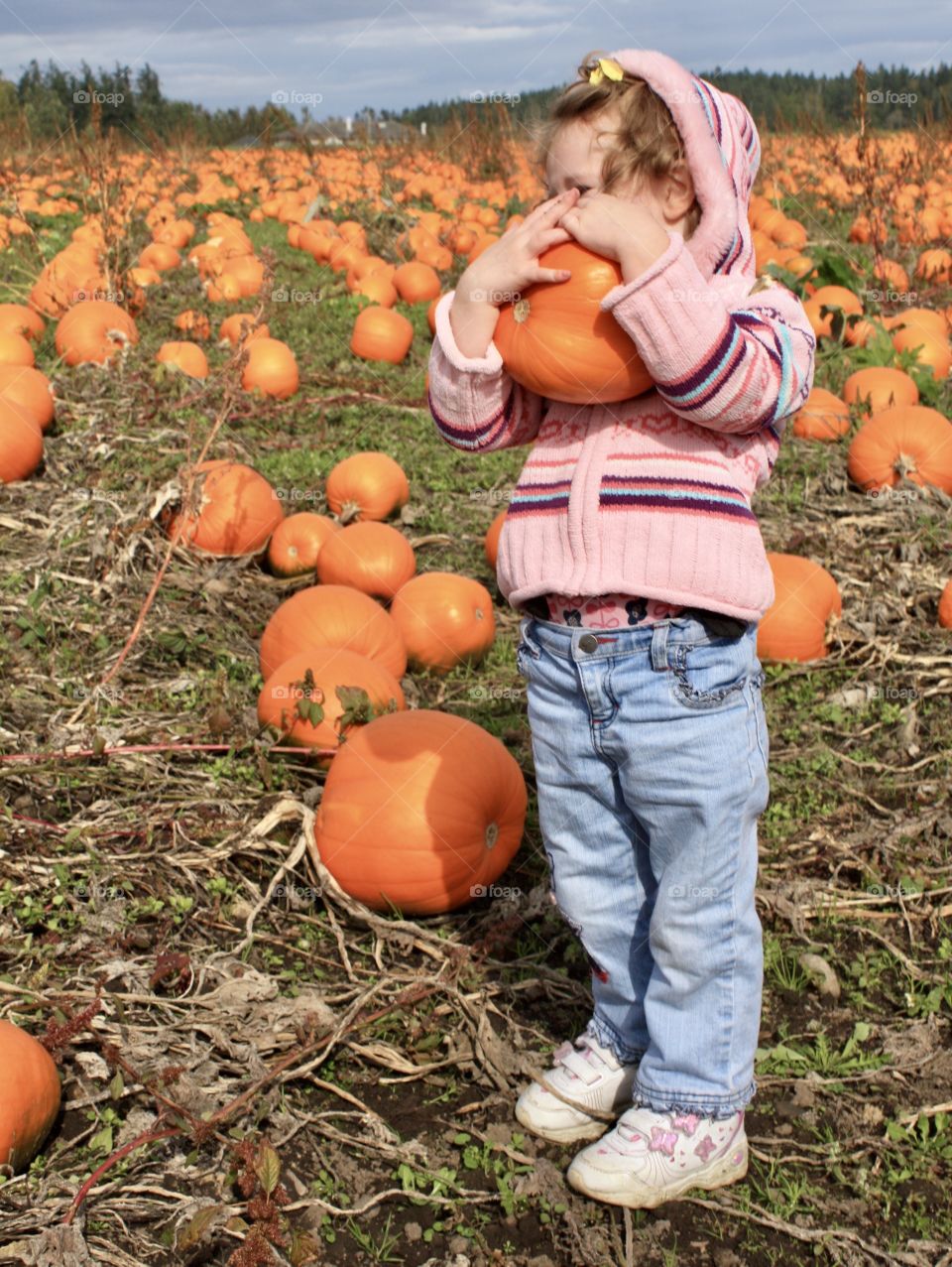 Hunting for the perfect pumpkin in the patch 