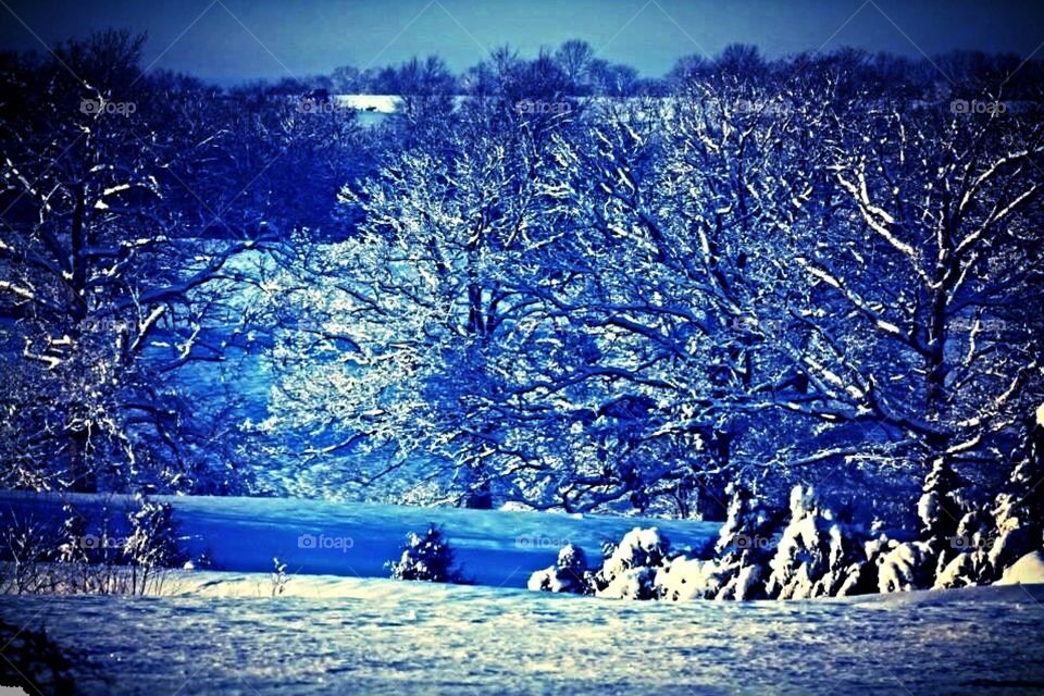 Beautiful icy snowy winter wonderland with softly rolling hills and ice covered trees in the country on the farm early in morning