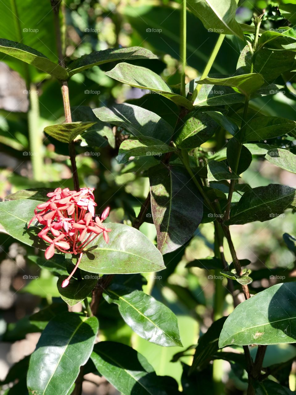 Color in a world where color isn’t always there. 