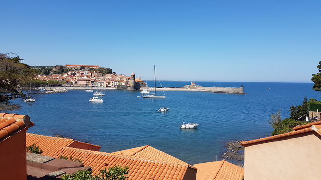 Collioure