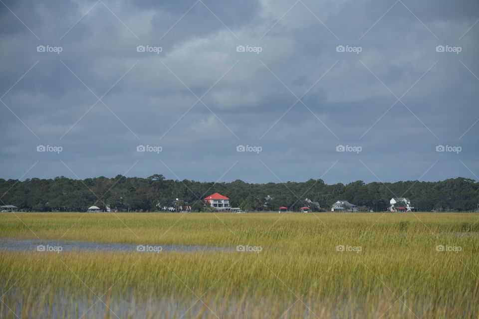 Small Community by the Marsh