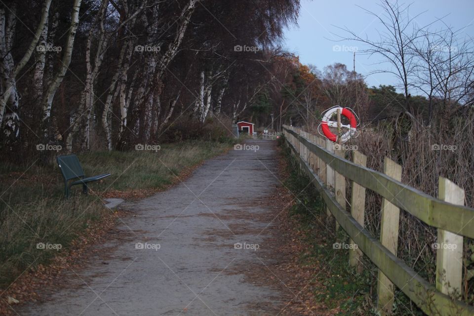 Landscape, Tree, Road, Guidance, Park