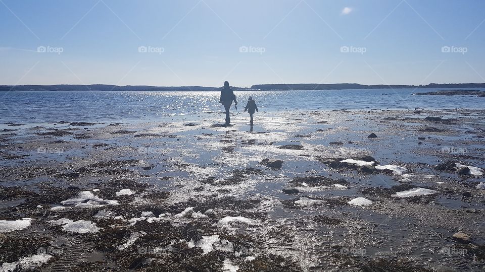 Walking on icy seahorse Sweden - siluetter av personer som går på en isig sandstrand på västkusten Sverige 