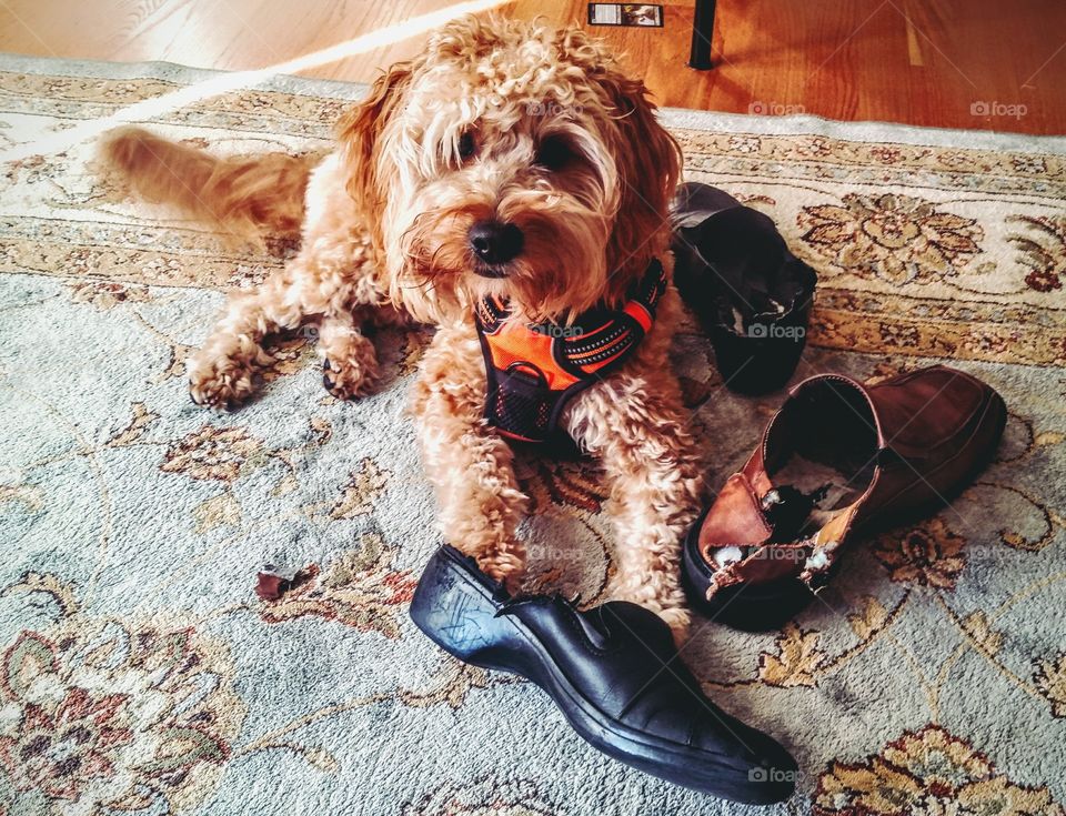 things that make you go hmmmm....