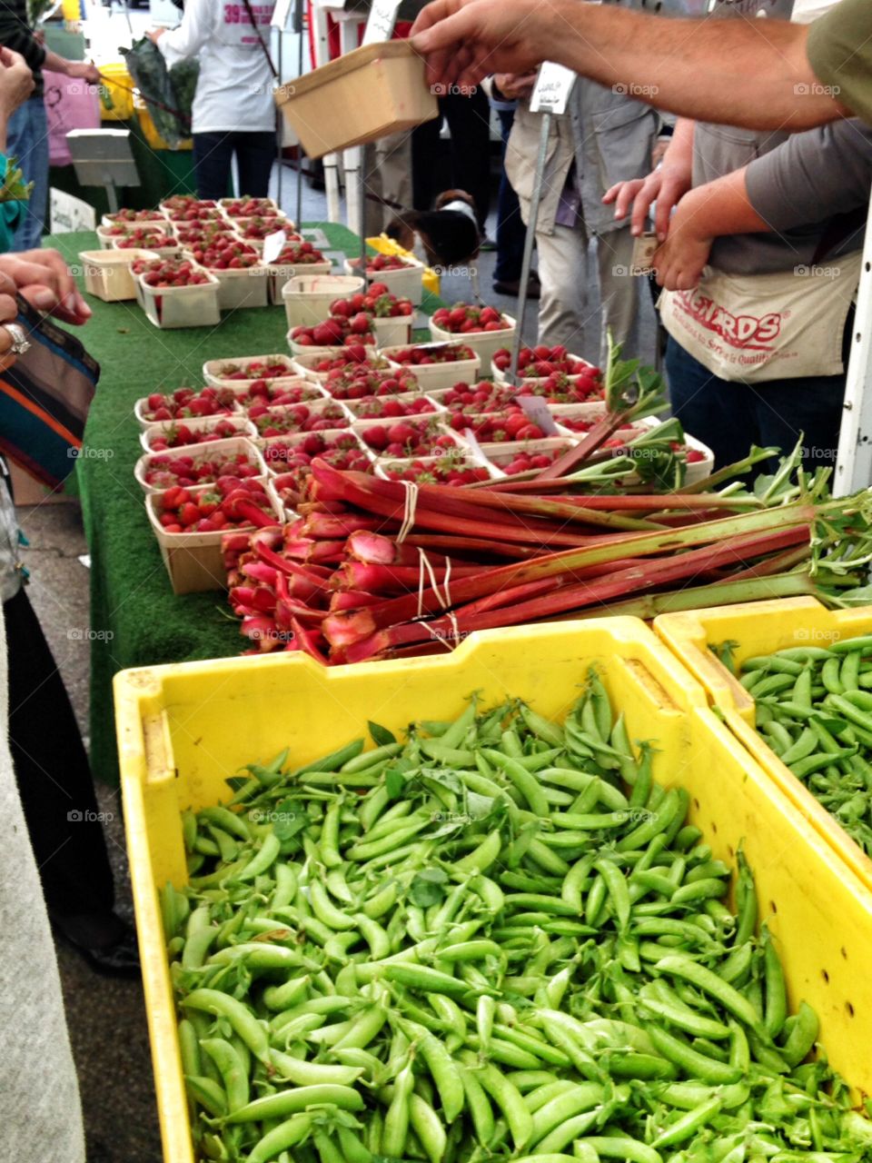 Farmers market. Fresh vegetables and fruit