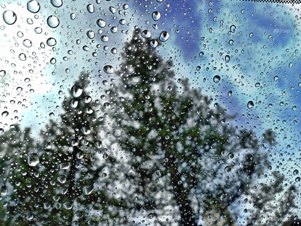 rainy day cloud trees