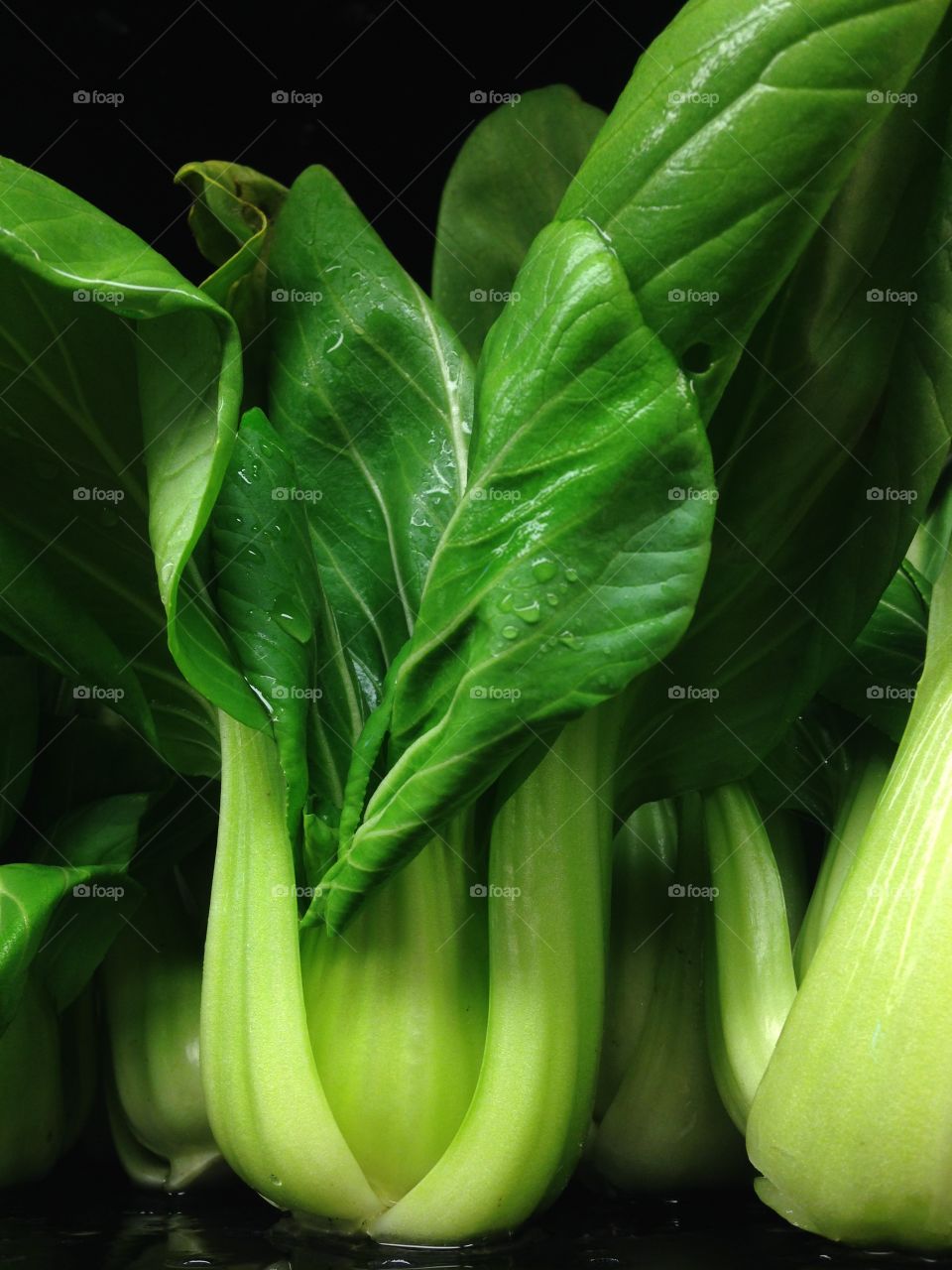 Water drops on green leaf vegetable