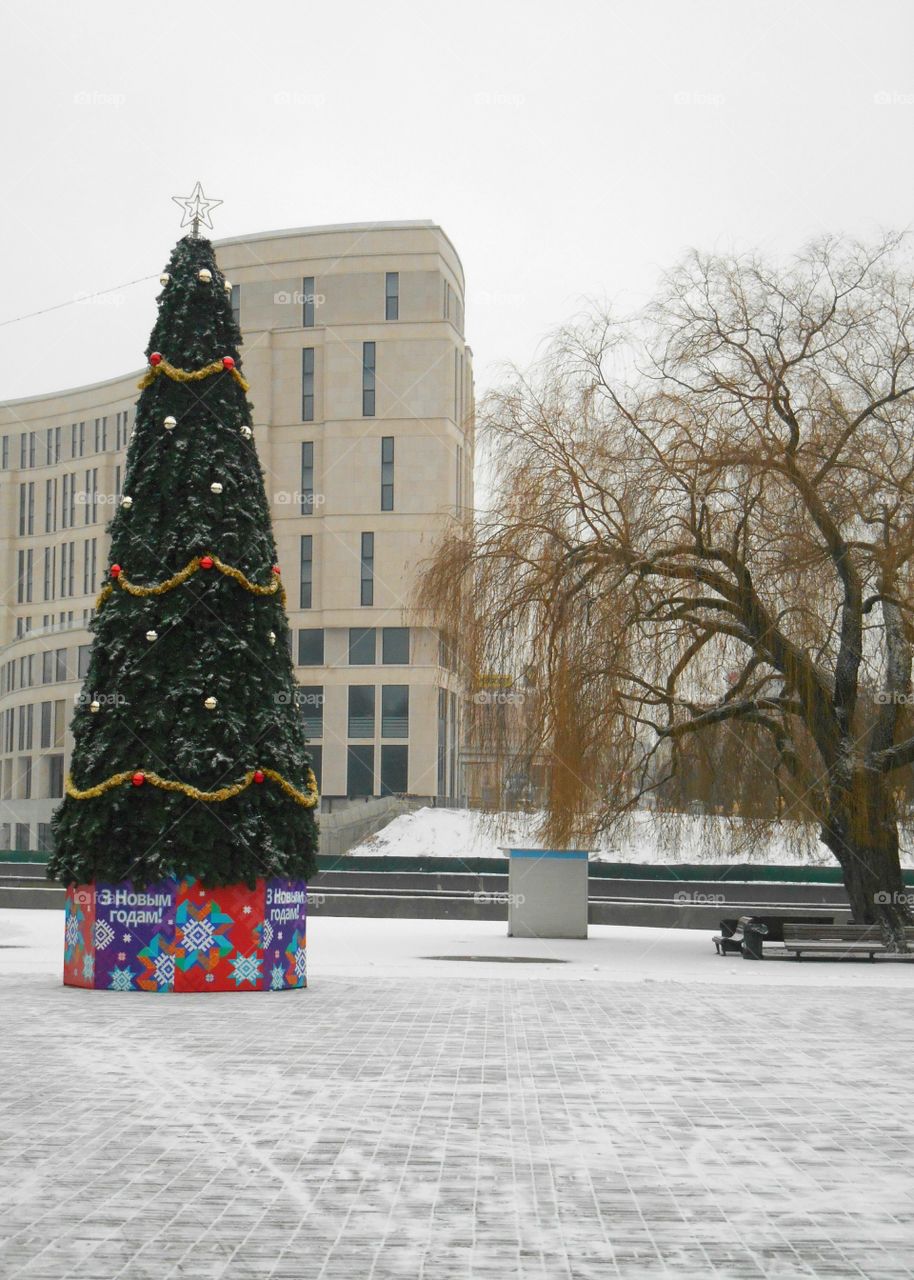 Winter, Snow, City, Tree, Building