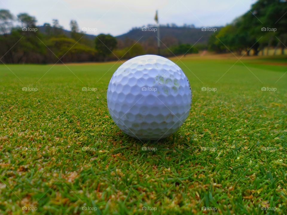 My golf ball lined up for a putt on the green