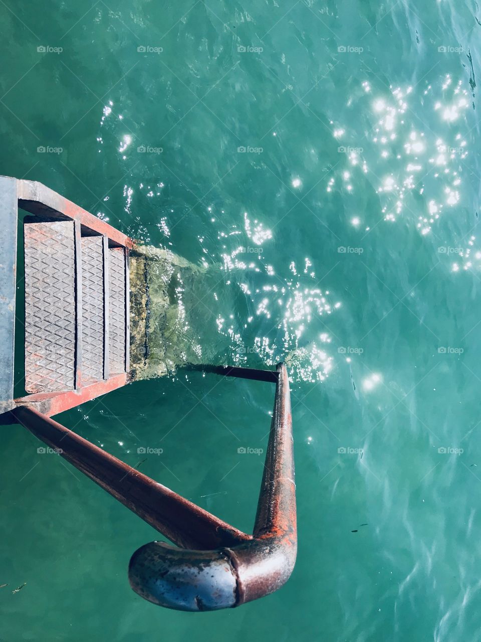 Time for a swim in the lake